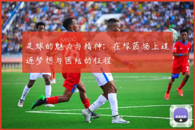 足球的魅力与精神：在绿茵场上追逐梦想与团结的征程