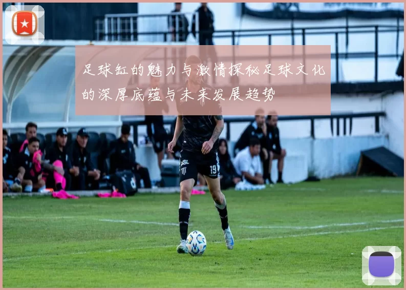 足球缸的魅力与激情探秘足球文化的深厚底蕴与未来发展趋势