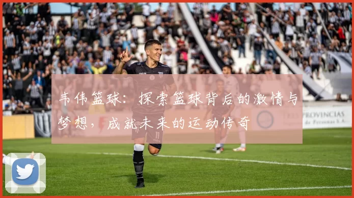 韦伟篮球：探索篮球背后的激情与梦想，成就未来的运动传奇
