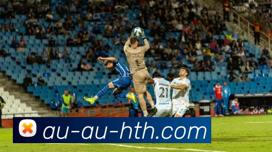 华体会平台生态图